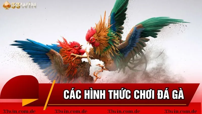 Các hình thức chơi chiến kê tại địa chỉ cá cược