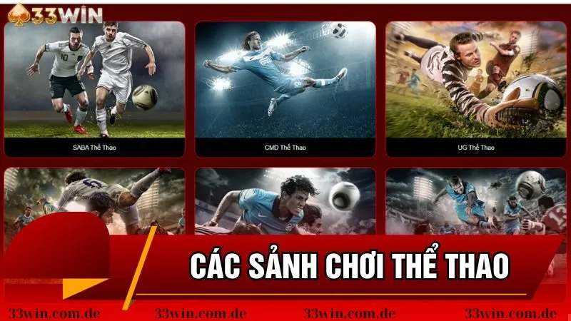 Sảnh cược thể thao 33win không thể bỏ qua